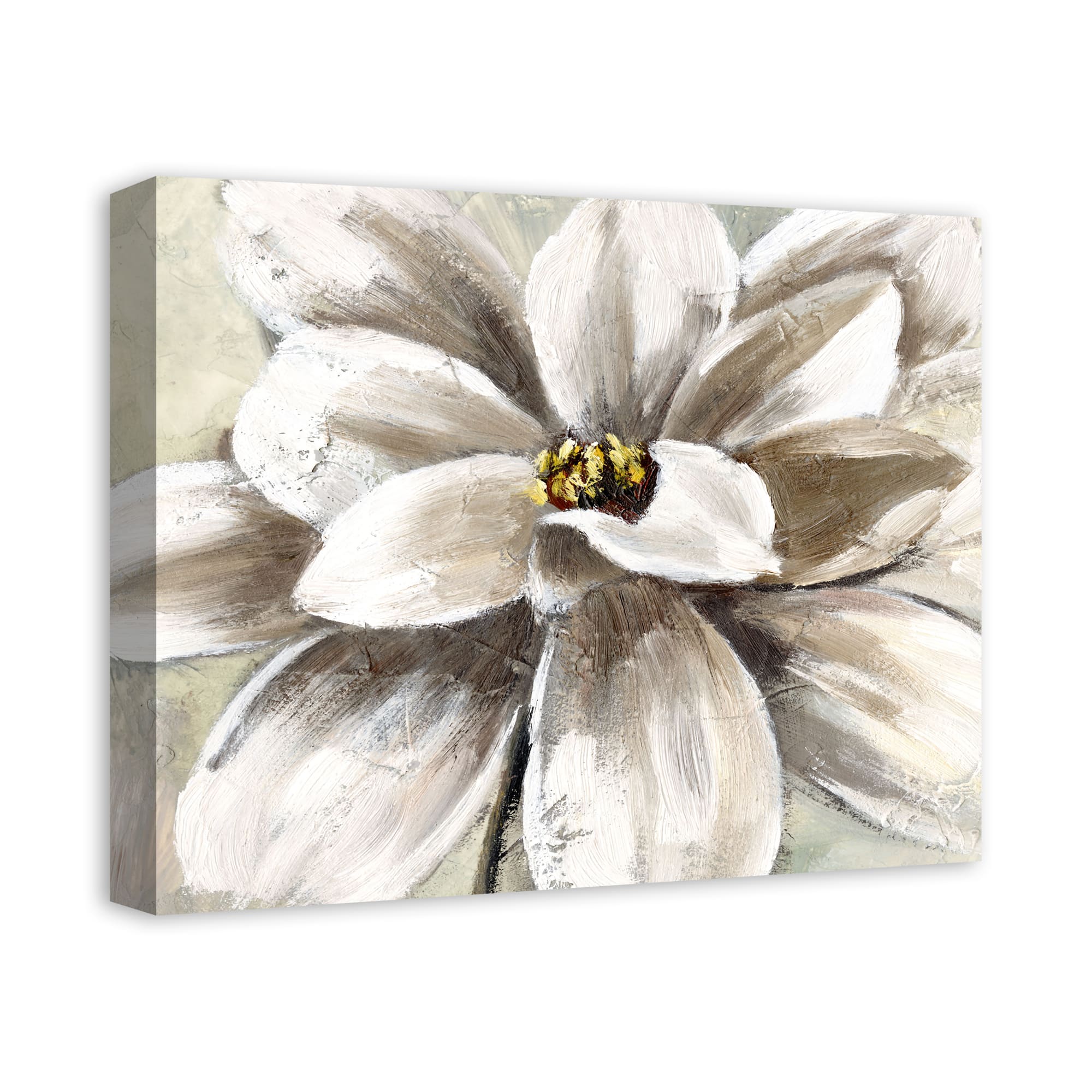 White Magnolia 20" x 16" Canvas Wall Art